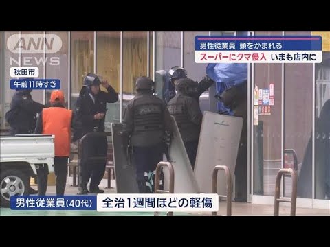 スーパーにクマ侵入　男性従業員が頭をかまれる　いまも店内に　秋田市【スーパーJチャンネル】(2024年11月30日)