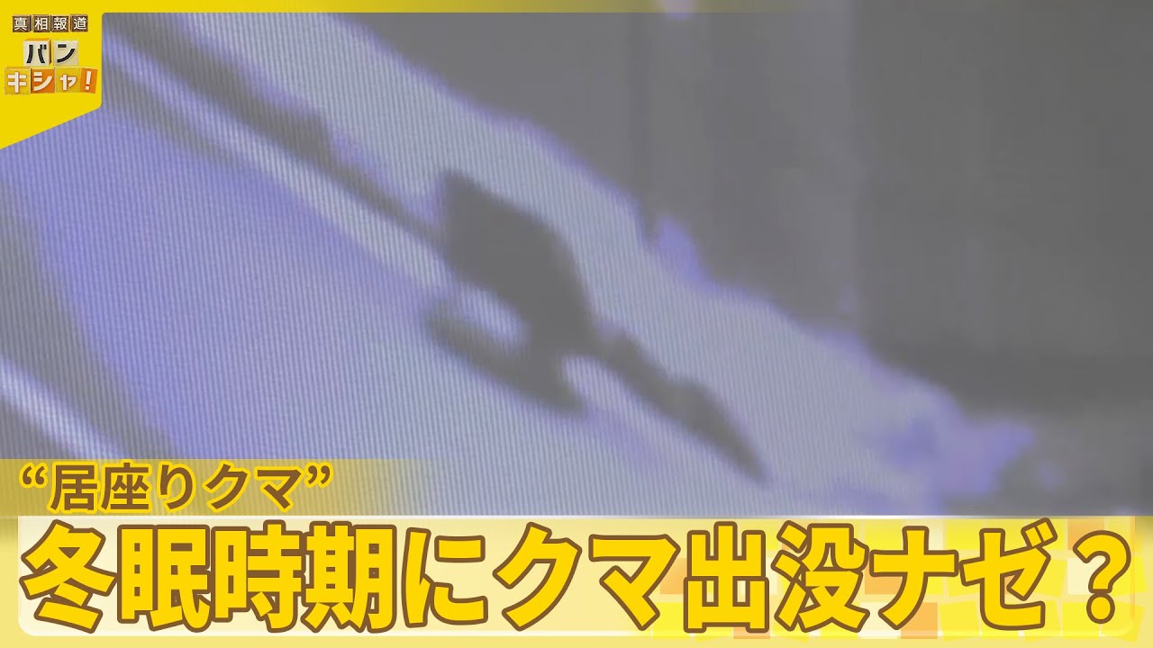 【クマ】居座り36時間 “ドローン作戦”も『バンキシャ！』