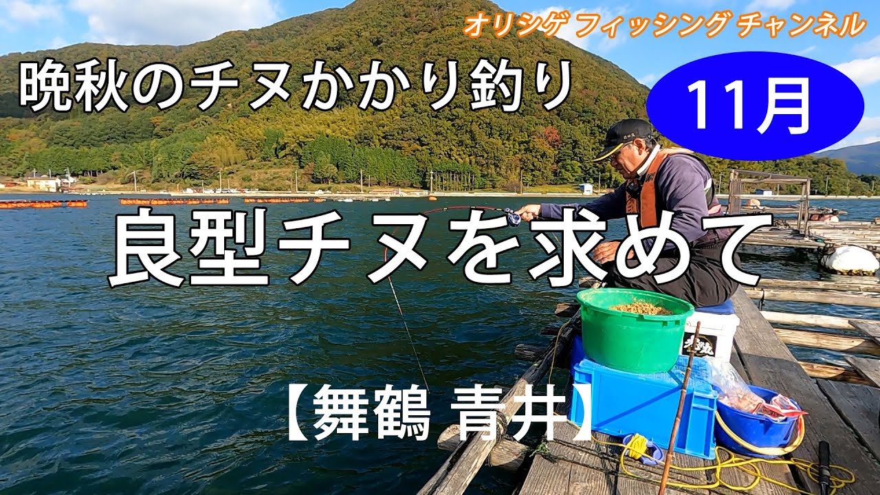 【チヌかかり釣り】2024.11.12~13 マル拓渡船　舞鶴湾の牡蠣筏の底に潜む良型チヌを求めて釣行。餌取り、カワハギとの格闘の中で、チヌを釣ることができるのか！