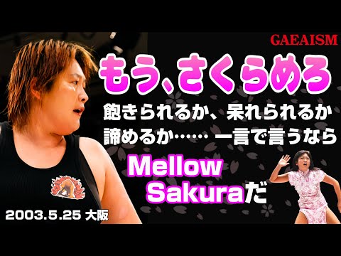 【女子プロレス GAEA】広田さくら & ダイナマイト・関西 vs 長与千種 & 山田敏代 2003年5月25日 大阪ドームスカイホール